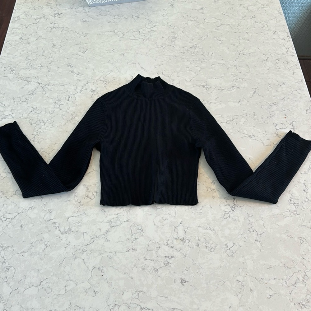 Black cropped turtle neck sweater
